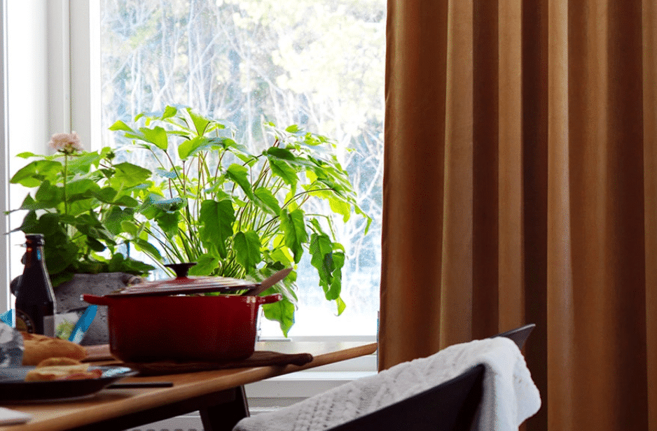 fönster inspiration